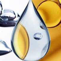 Hydratation et Nutrition