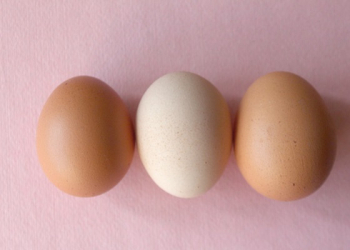 Quels sont les bienfaits du blanc d’œuf sur la peau ? 